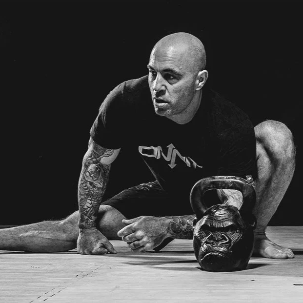 UFC PREMIUM IJSBAD (OCTAGON)